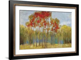 Touches of Red-Andrew Michaels-Framed Art Print