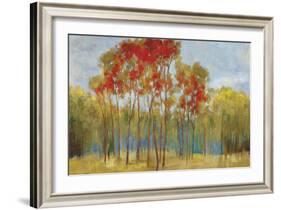 Touches of Red-Andrew Michaels-Framed Art Print