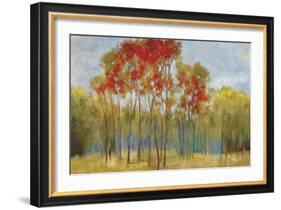 Touches of Red-Andrew Michaels-Framed Art Print