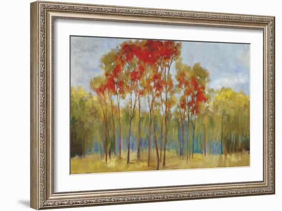 Touches of Red-Andrew Michaels-Framed Premium Giclee Print
