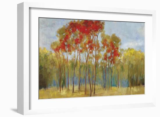 Touches of Red-Andrew Michaels-Framed Premium Giclee Print