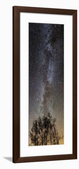 Touching The Stars-Brenda Petrella Photography LLC-Framed Giclee Print