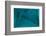 Touching the Void-Doug Chinnery-Framed Photographic Print