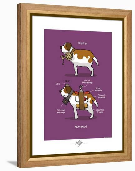 Touchouss - Le Saint-Bernard-Sylvain Bichicchi-Framed Stretched Canvas