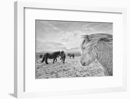 Tough guys-John Colbensen-Framed Photographic Print