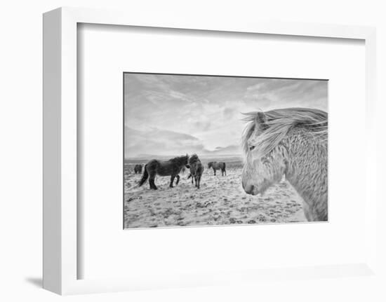 Tough guys-John Colbensen-Framed Photographic Print