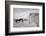 Tough guys-John Colbensen-Framed Photographic Print