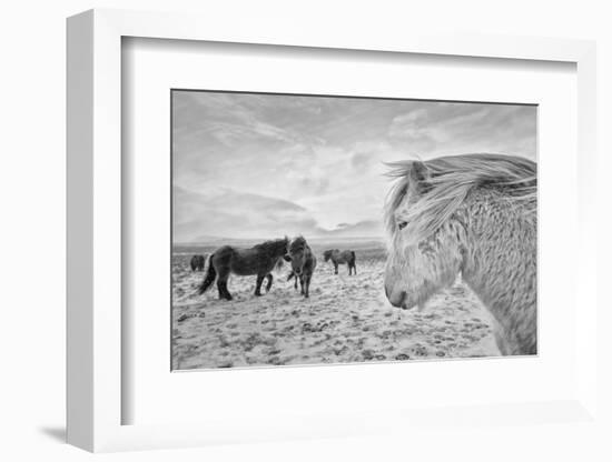 Tough guys-John Colbensen-Framed Photographic Print