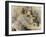 Toulouse-Lautrec, 1889-Henri de Toulouse-Lautrec-Framed Giclee Print