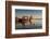 Tour Boats Lake Geneva WI-Steve Gadomski-Framed Photographic Print