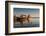 Tour Boats Lake Geneva WI-Steve Gadomski-Framed Photographic Print