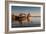 Tour Boats Lake Geneva WI-Steve Gadomski-Framed Photographic Print