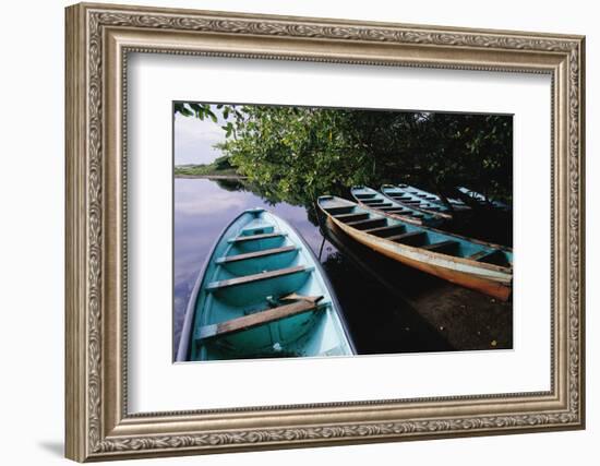 Tour Boats Moored in Ventanilla Lagoon-Danny Lehman-Framed Photographic Print