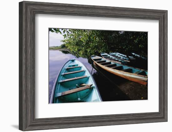 Tour Boats Moored in Ventanilla Lagoon-Danny Lehman-Framed Photographic Print