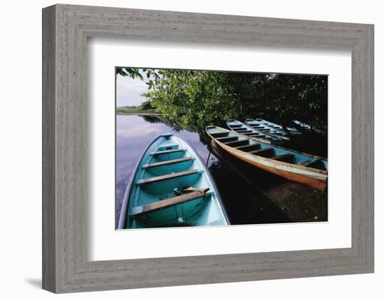 Tour Boats Moored in Ventanilla Lagoon-Danny Lehman-Framed Photographic Print