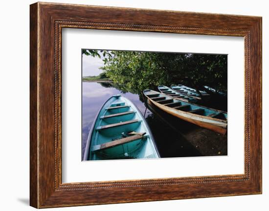 Tour Boats Moored in Ventanilla Lagoon-Danny Lehman-Framed Photographic Print