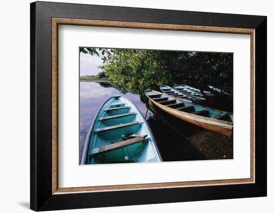 Tour Boats Moored in Ventanilla Lagoon-Danny Lehman-Framed Photographic Print
