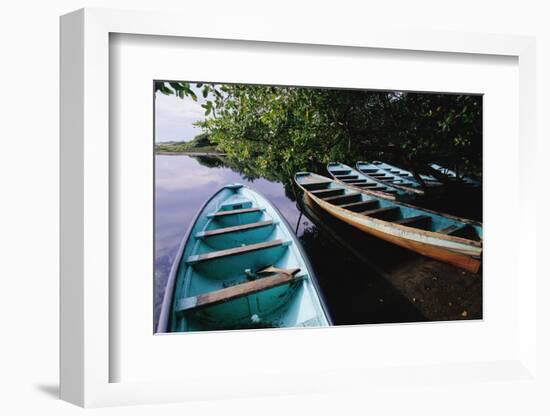 Tour Boats Moored in Ventanilla Lagoon-Danny Lehman-Framed Photographic Print