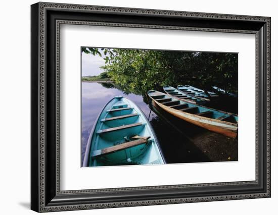 Tour Boats Moored in Ventanilla Lagoon-Danny Lehman-Framed Photographic Print