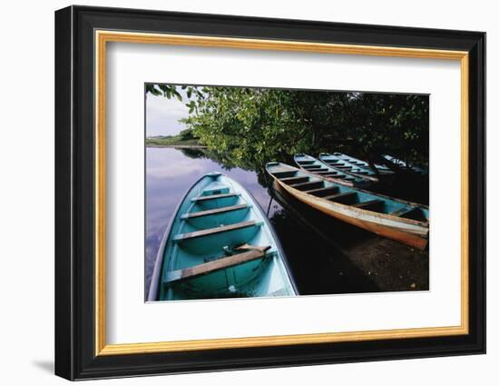 Tour Boats Moored in Ventanilla Lagoon-Danny Lehman-Framed Photographic Print