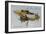 Tourism in the Year 2000-null-Framed Giclee Print