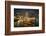 Tourist boat near the historic Boat Quay in Singapore river at dusk, Singapore-Martin Child-Framed Photographic Print