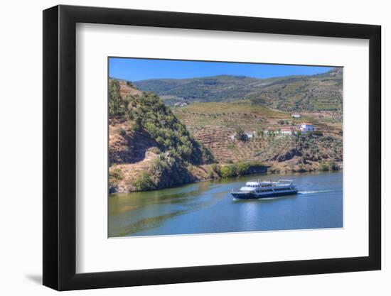 Tourist boat, vineyards and the Douro River, Alto Douro Wine Valley, UNESCO World Heritage Site, Po-Richard Maschmeyer-Framed Photographic Print