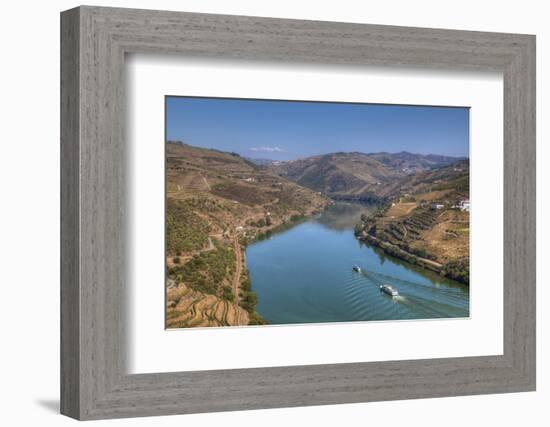 Tourist boats, vineyards and the Douro River, Alto Douro Wine Valley, UNESCO World Heritage Site, P-Richard Maschmeyer-Framed Photographic Print