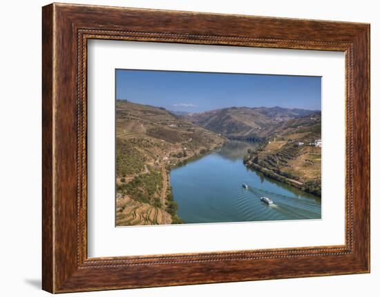 Tourist boats, vineyards and the Douro River, Alto Douro Wine Valley, UNESCO World Heritage Site, P-Richard Maschmeyer-Framed Photographic Print