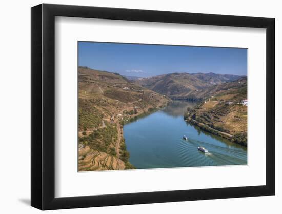 Tourist boats, vineyards and the Douro River, Alto Douro Wine Valley, UNESCO World Heritage Site, P-Richard Maschmeyer-Framed Photographic Print