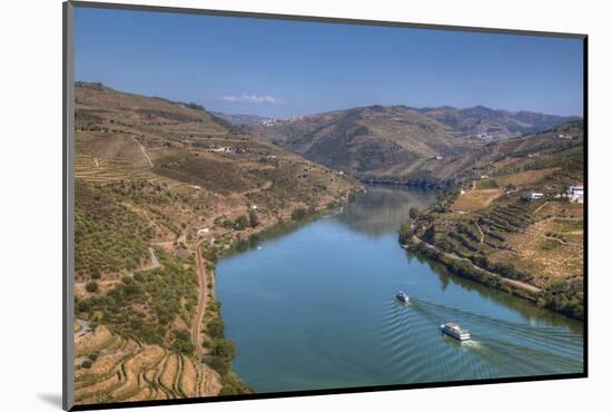 Tourist boats, vineyards and the Douro River, Alto Douro Wine Valley, UNESCO World Heritage Site, P-Richard Maschmeyer-Mounted Photographic Print