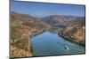 Tourist boats, vineyards and the Douro River, Alto Douro Wine Valley, UNESCO World Heritage Site, P-Richard Maschmeyer-Mounted Photographic Print