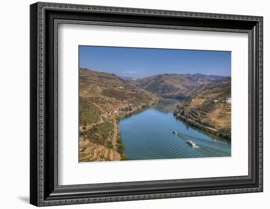 Tourist boats, vineyards and the Douro River, Alto Douro Wine Valley, UNESCO World Heritage Site, P-Richard Maschmeyer-Framed Photographic Print