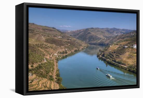Tourist boats, vineyards and the Douro River, Alto Douro Wine Valley, UNESCO World Heritage Site, P-Richard Maschmeyer-Framed Premier Image Canvas