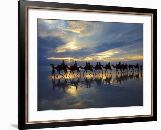 Tourist Camel Train on Cable Beach at Sunset, Broome, Kimberley Region, Western Australia-David Wall-Framed Photographic Print