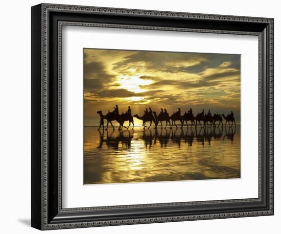 Tourist Camel Train on Cable Beach at Sunset, Broome, Kimberley Region, Western Australia-David Wall-Framed Photographic Print