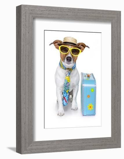 Tourist Dog With A Hat A Tie And A Case-Javier Brosch-Framed Photographic Print