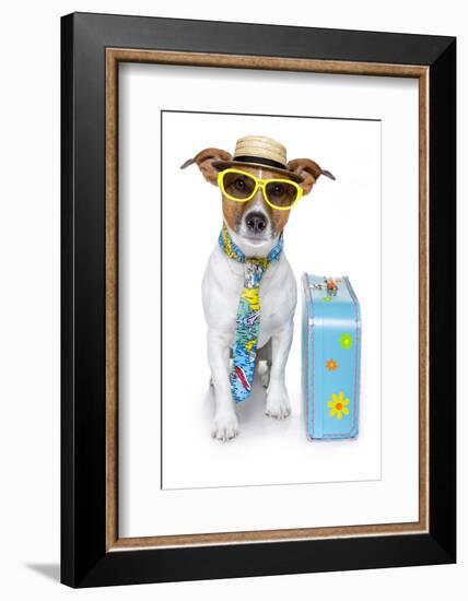 Tourist Dog With A Hat A Tie And A Case-Javier Brosch-Framed Photographic Print