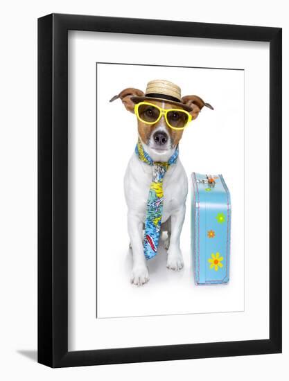 Tourist Dog With A Hat A Tie And A Case-Javier Brosch-Framed Photographic Print