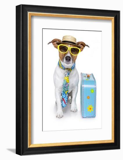 Tourist Dog With A Hat A Tie And A Case-Javier Brosch-Framed Photographic Print