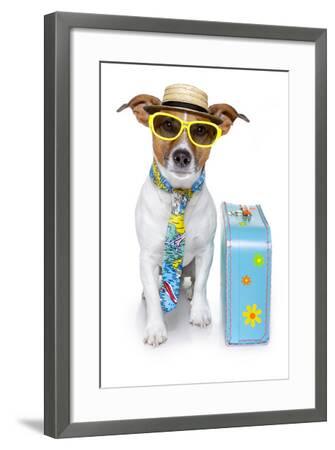 dog with tie
