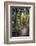 Tourist Exploring Waipoua Kauri Forest, Northland Region, North Island, New Zealand, Pacific-Matthew Williams-Ellis-Framed Photographic Print