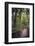 Tourist Exploring Waipoua Kauri Forest, Northland Region, North Island, New Zealand, Pacific-Matthew Williams-Ellis-Framed Photographic Print