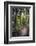 Tourist Exploring Waipoua Kauri Forest, Northland Region, North Island, New Zealand, Pacific-Matthew Williams-Ellis-Framed Photographic Print