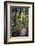 Tourist Exploring Waipoua Kauri Forest, Northland Region, North Island, New Zealand, Pacific-Matthew Williams-Ellis-Framed Photographic Print