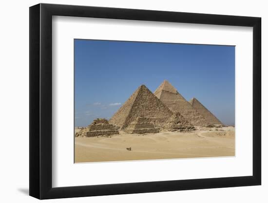 Tourist Horsecart in Foreground, the Giza Pyramids, Giza, Egypt, North Africa, Africa-Richard Maschmeyer-Framed Photographic Print