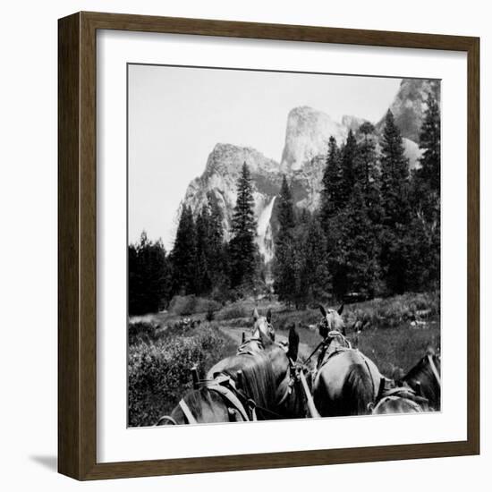 Tourist Photo from Horse-Drawn Wagon in Yosemite Valley, Ca. 1900.-Kirn Vintage Stock-Framed Photographic Print