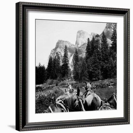 Tourist Photo from Horse-Drawn Wagon in Yosemite Valley, Ca. 1900.-Kirn Vintage Stock-Framed Photographic Print