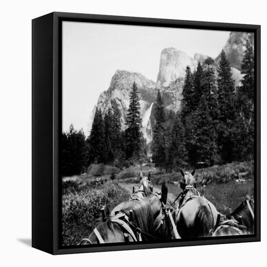 Tourist Photo from Horse-Drawn Wagon in Yosemite Valley, Ca. 1900.-Kirn Vintage Stock-Framed Premier Image Canvas