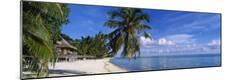 Photographic Print